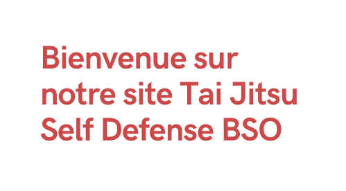 Bienvenue sur notre site Tai Jitsu Self Defense BSO